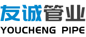 ʦ֤
